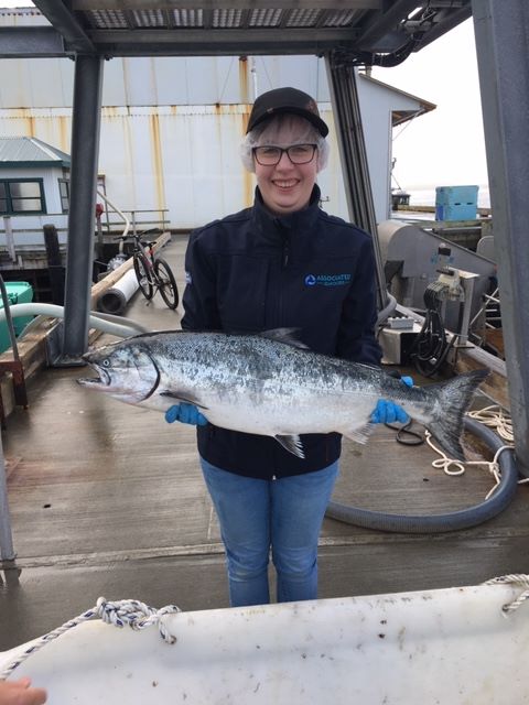 TR King salmon.JPG